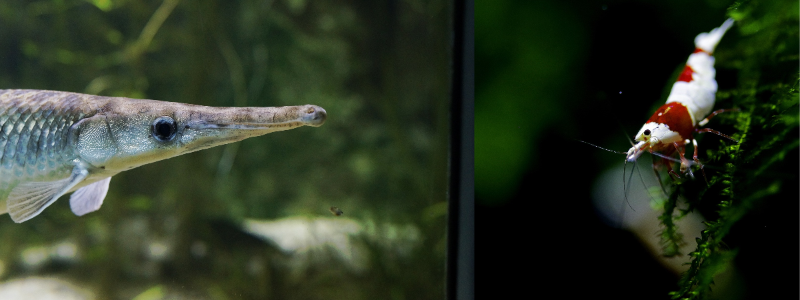 横浜,川崎,経営者,財務,コンサルタント