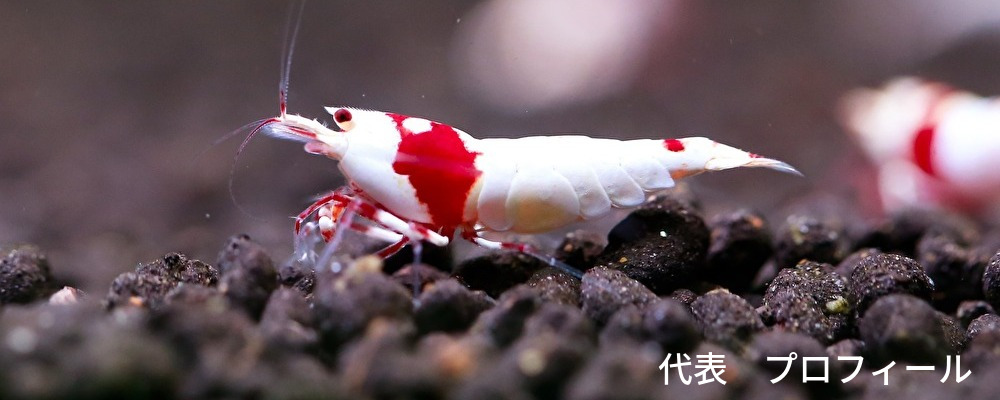 横浜,川崎,経営者,財務,コンサルタント