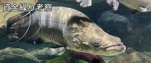 サンプルサイト